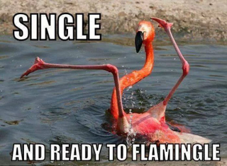 Illustration for article titled FRIDAY SINGLES?